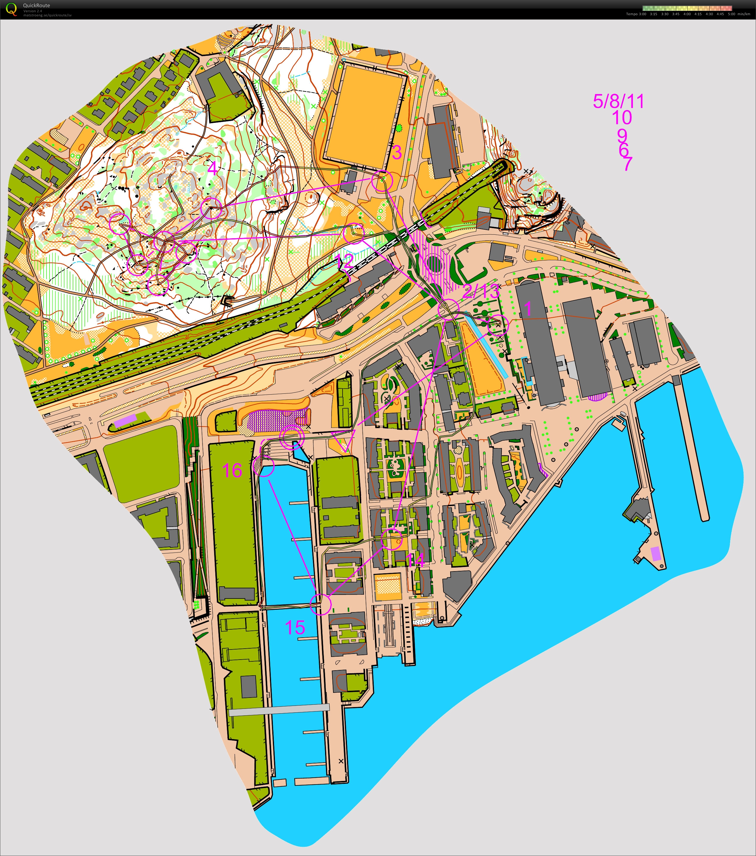 Nordic Orienteering Tour, deltävling 3, semifinal, World Cup (2012-09-04)