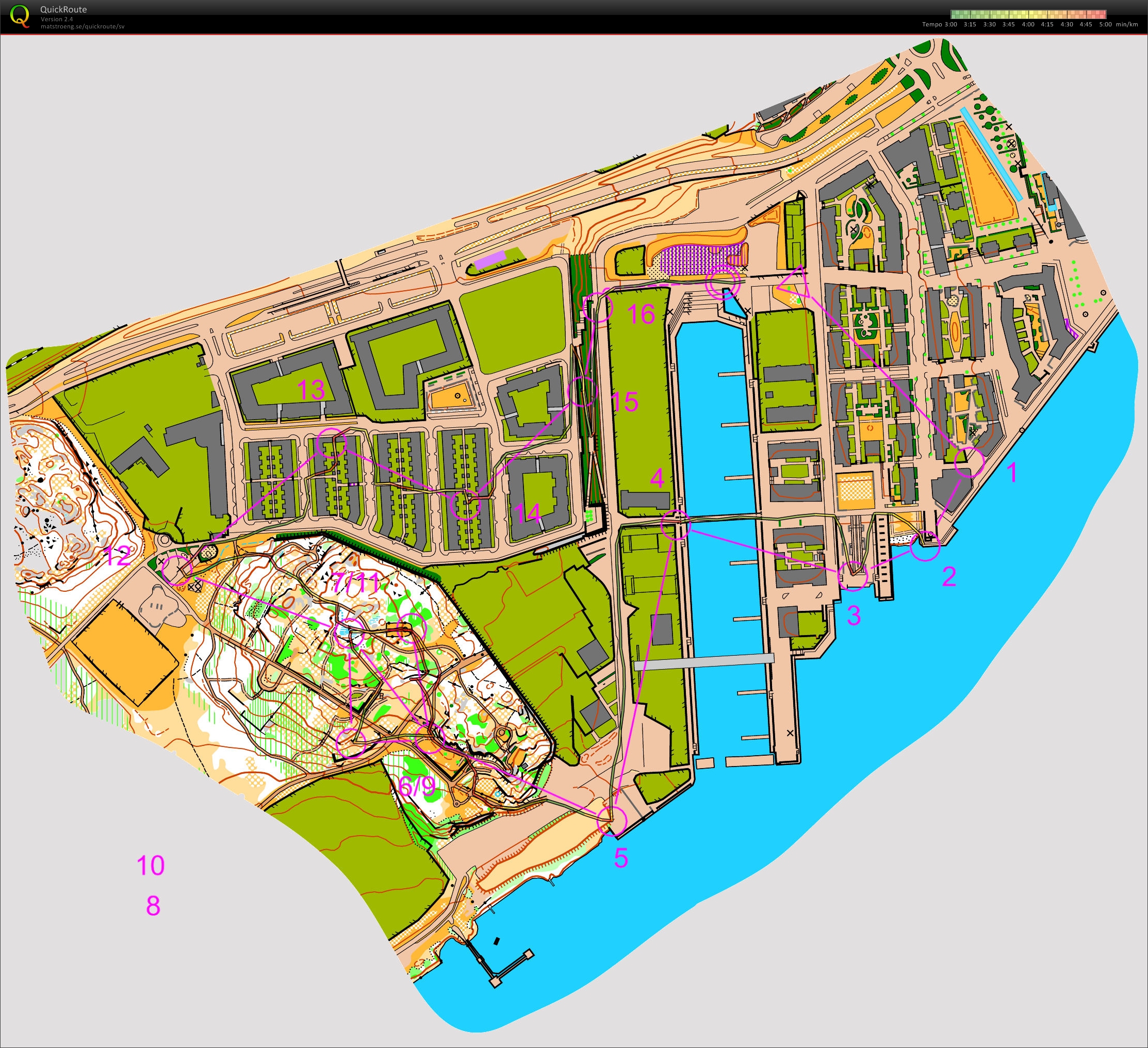 Nordic Orienteering Tour, deltävling 3, final, World Cup (04.09.2012)