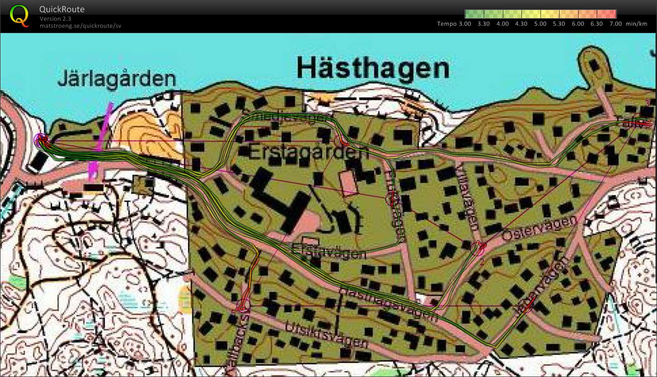 Idiotenkartminnesstads-OL-intervaller (2010-02-25)