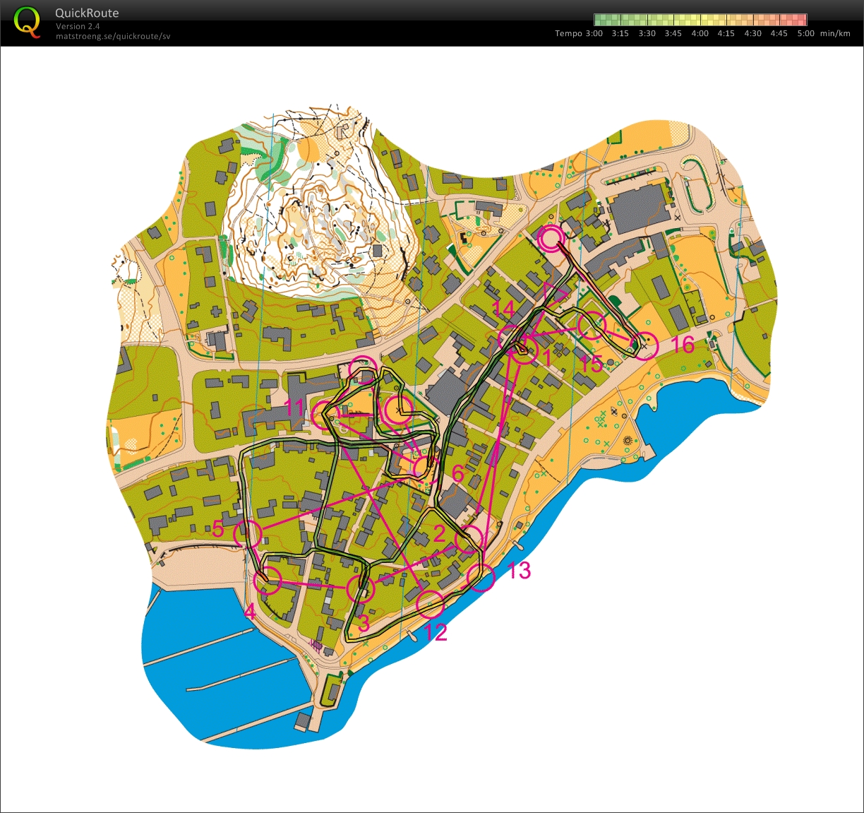 Nordic Orienteering Tour, etapp 3, final (04/06/2013)