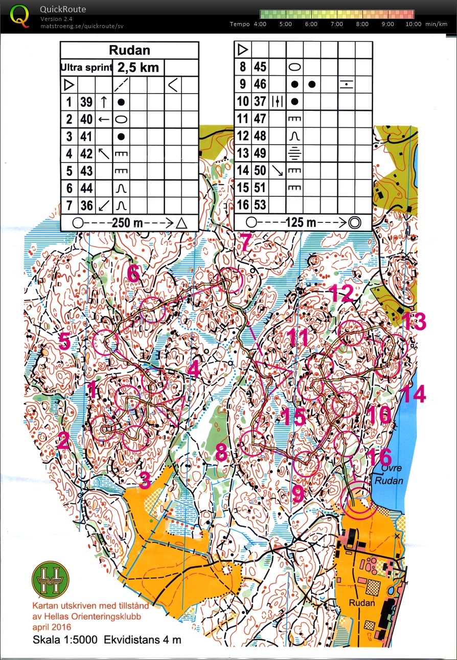 Skogssprint (31/05/2016)