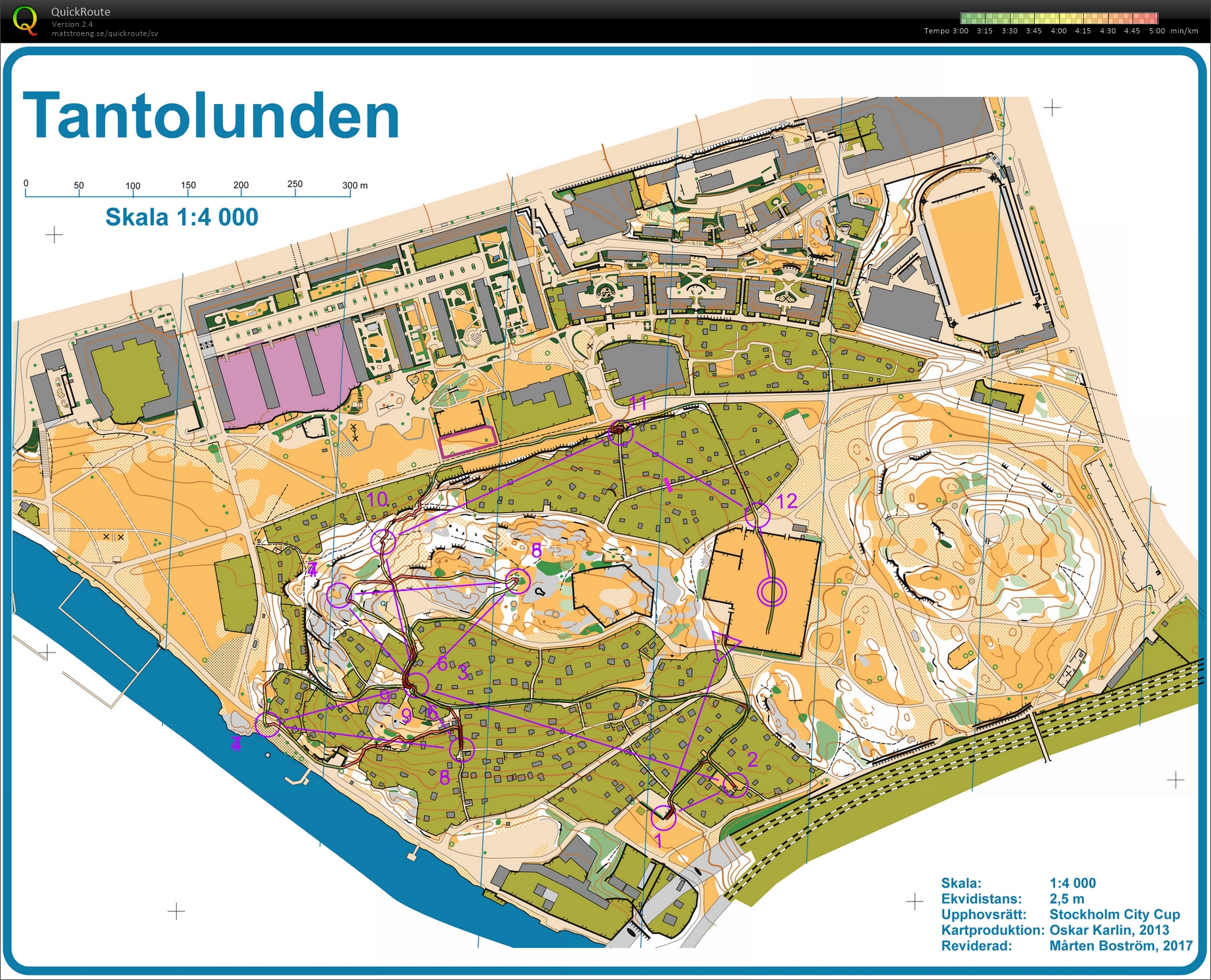 Stockholm City Cup #3, semifinal (07-06-2017)