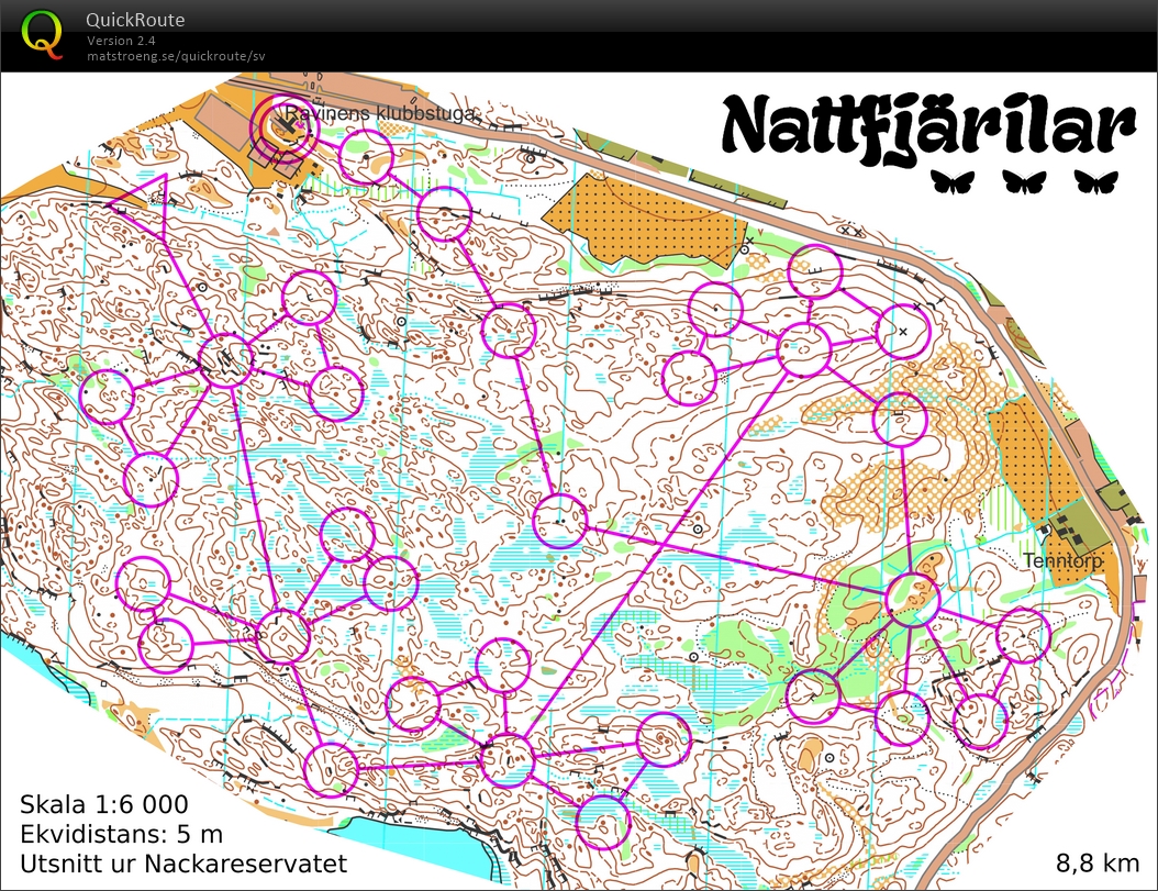 Nattfjärilar (05-12-2017)