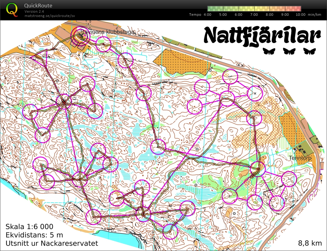 Nattfjärilar (05/12/2017)