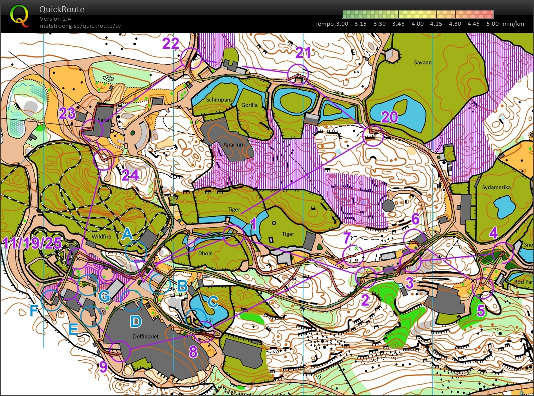 Kolmårdssprinten, del 3 (2017-11-11)