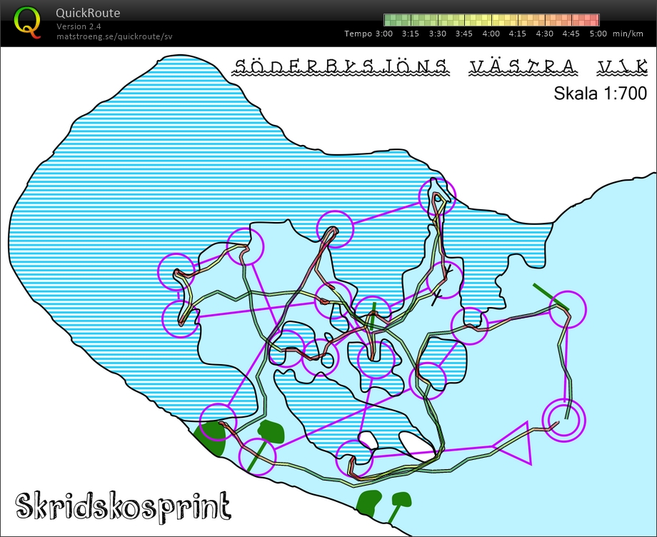 Skridskosprint (10.02.2018)