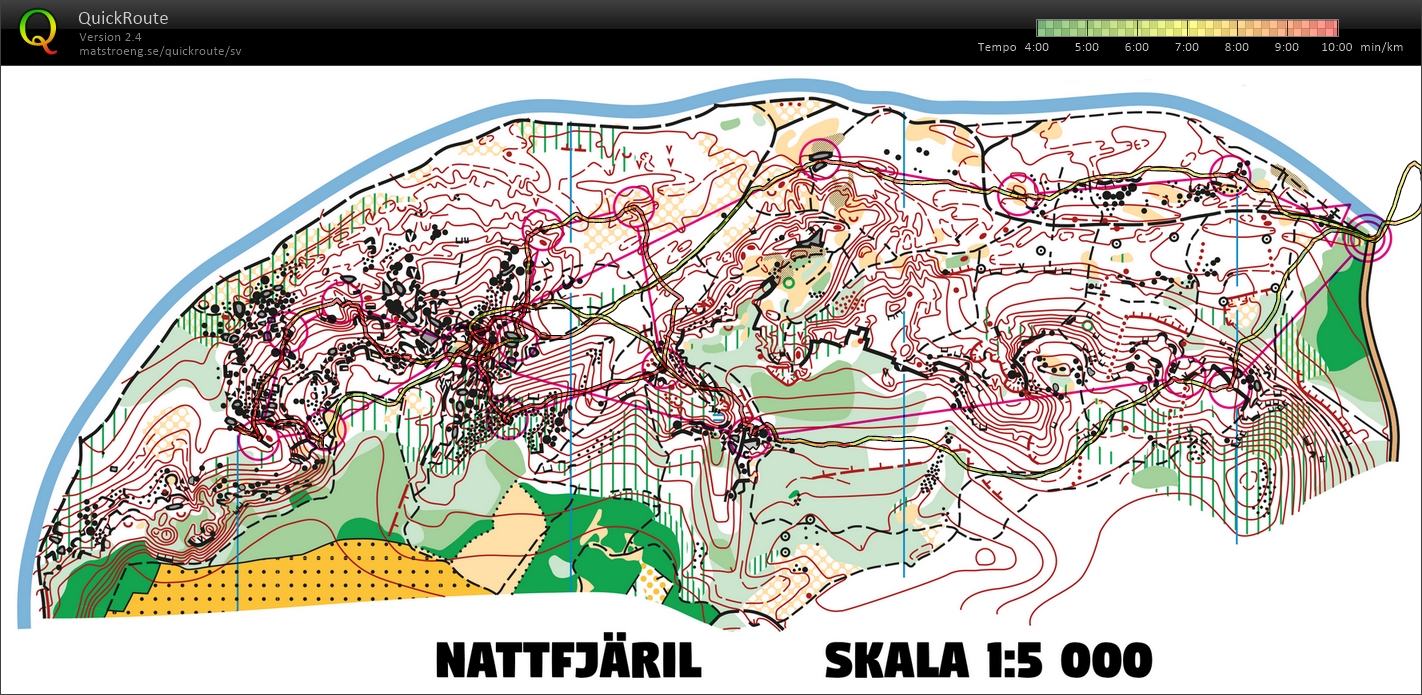 Nattfjärilar (27.02.2018)