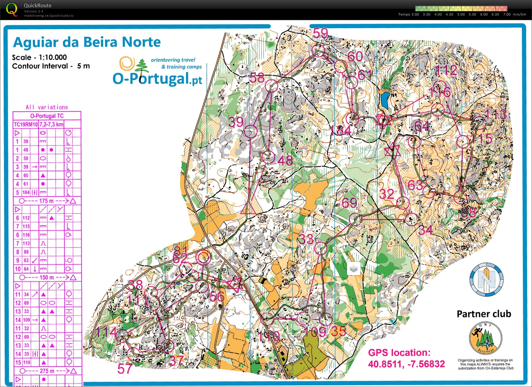 Stafettintervaller (2019-01-29)