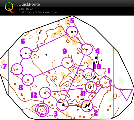 Microsprint (13-05-2020)