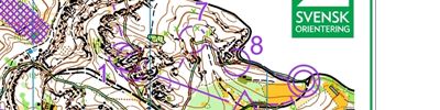 Stafetträning 1 (2021-05-25)