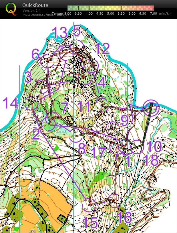 Medelfinal (31-05-2021)