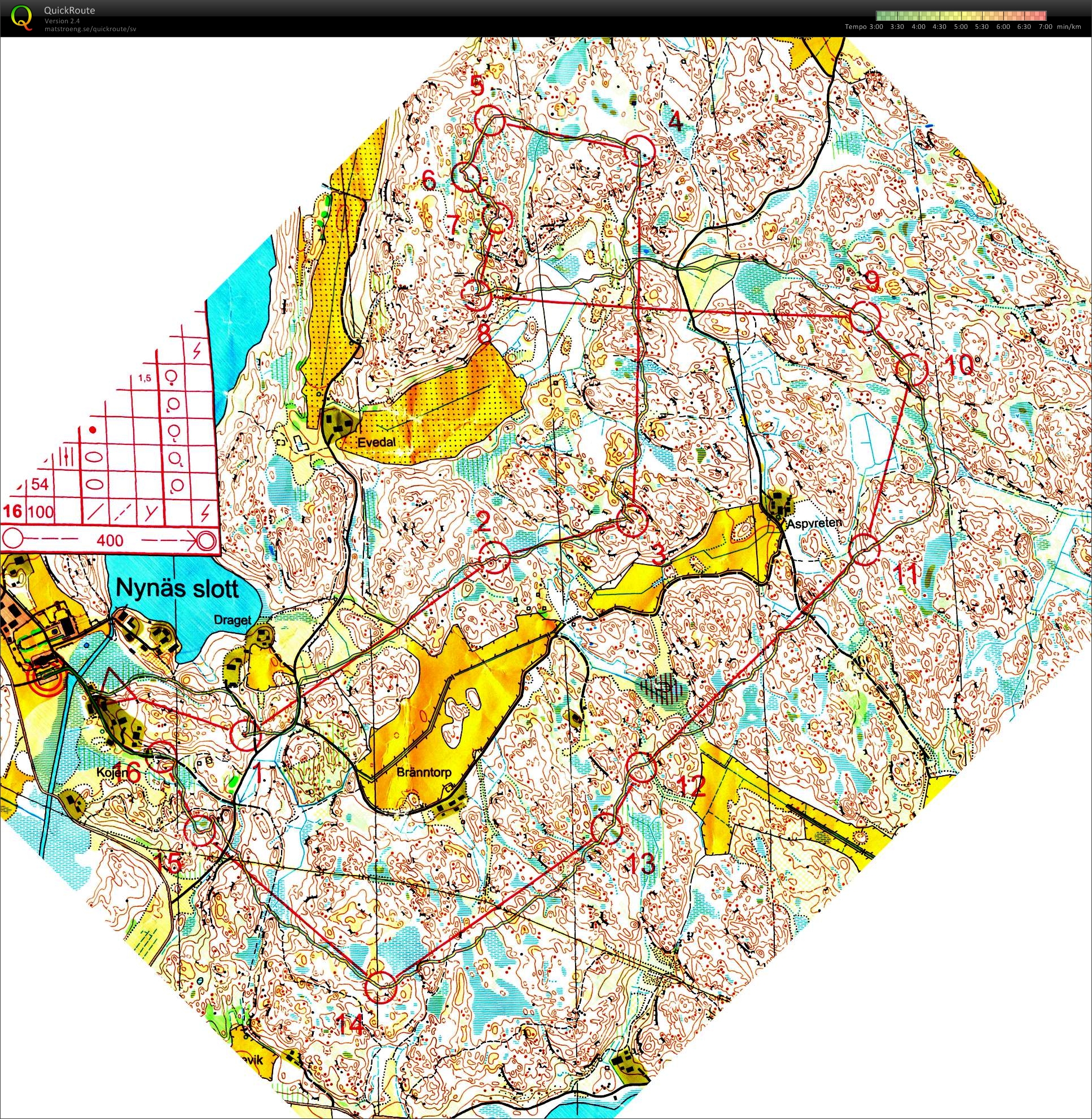 Måsenstafetten (2012-03-25)